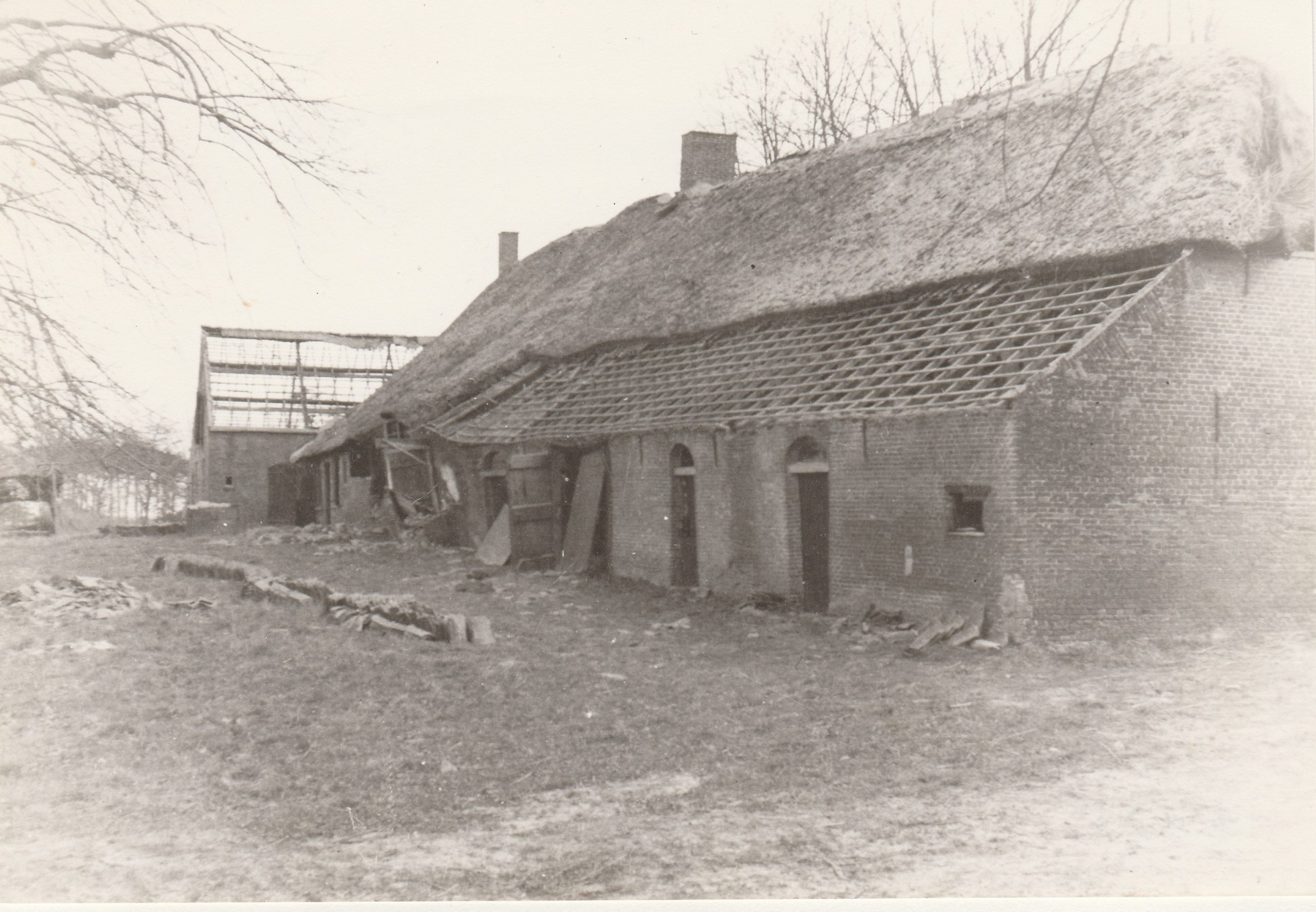 E 005a Verwoeste Leeuwerkeneik 1942 Alphen