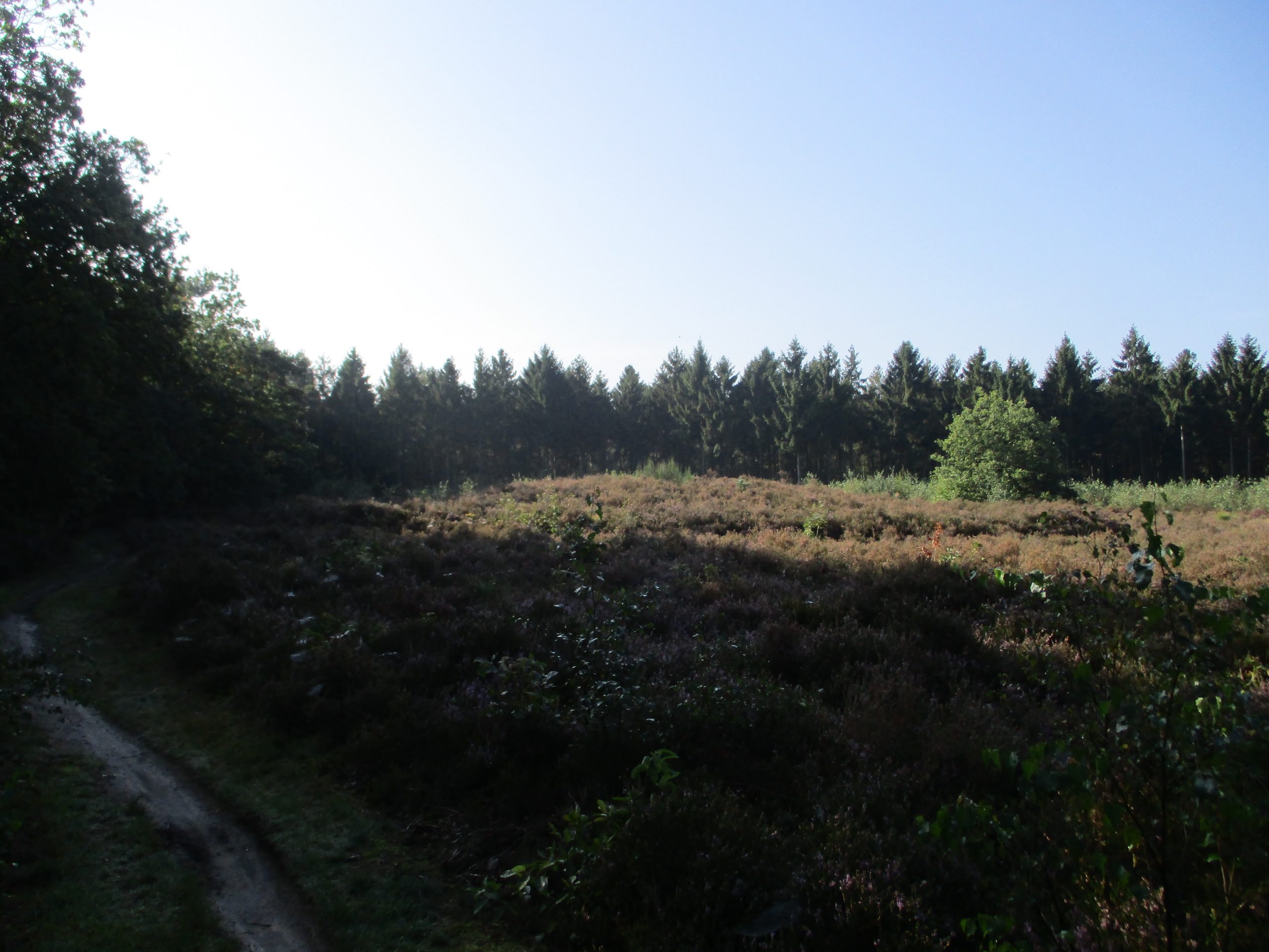 Prehistorie: grafheuvels en urnenvelden