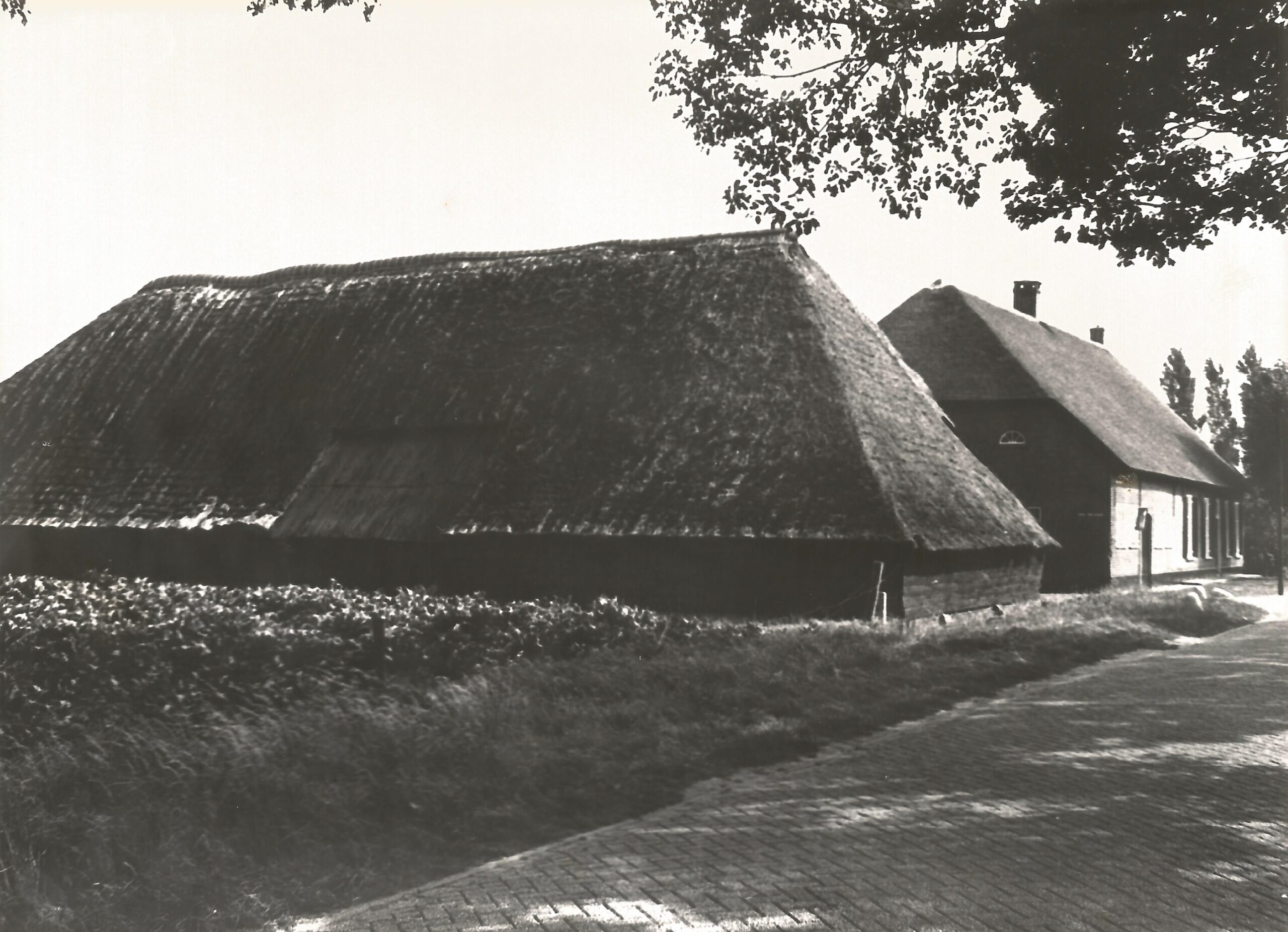 Boerderijen Oosterwijksestraat