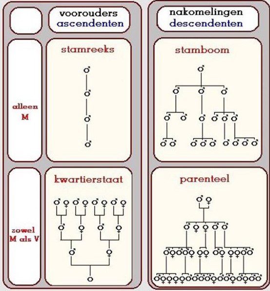 genealogie